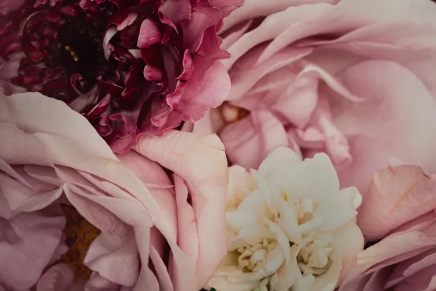 Зображення "Flowers" від Romanna P.